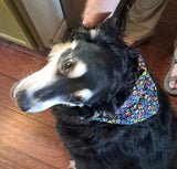 Rainbow Paw Print Dog Scrunchie Bandana